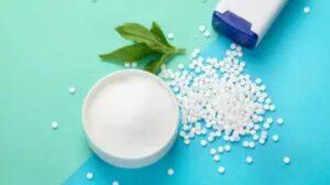 Artificial Sweeteners brain